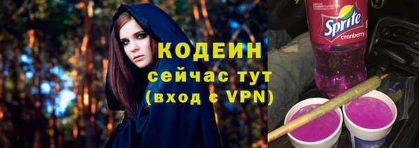 Альфа ПВП Лагань