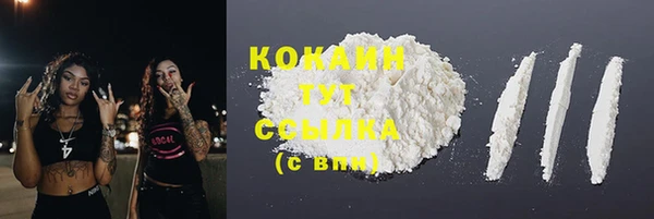 дмт Ладушкин