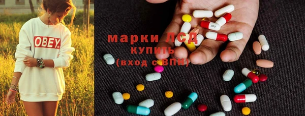 PSILOCYBIN Вяземский