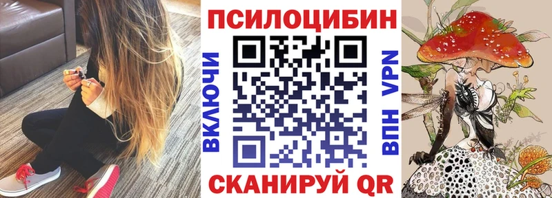 Галлюциногенные грибы MAGIC MUSHROOMS  купить наркоту  Мензелинск 